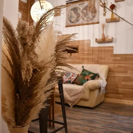 Apartment Le Cabanon H24,atypique,cosy,port,plage,wifi,netflix